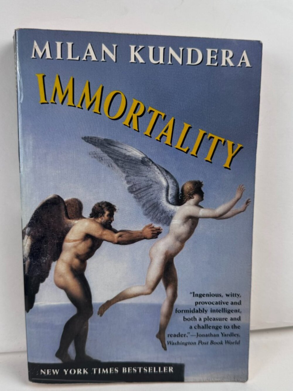 Immortality Milan Kundera Harper Paperback Novel ISBN 0-06-097448-6 Vintage Book